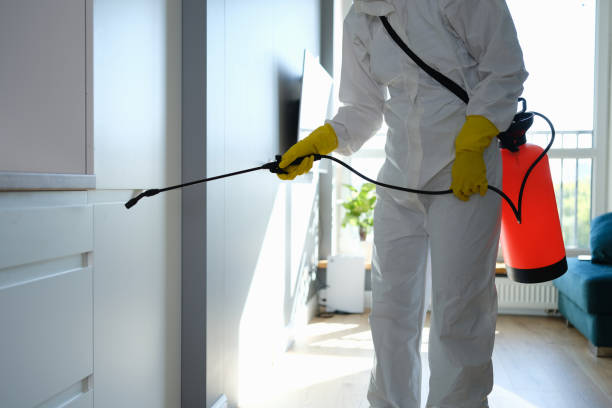 Best Commercial Mold Removal  in Sconsin Rapids, WI