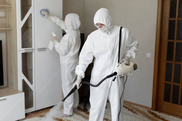 Certified Mold Removal in Wisconsin Rapids, WI